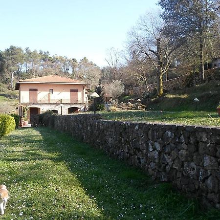 莱里奇I Lecci住宿加早餐旅馆 外观 照片
