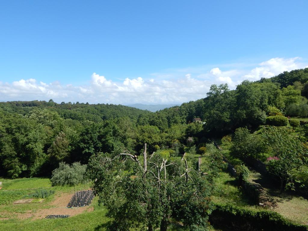 莱里奇I Lecci住宿加早餐旅馆 外观 照片